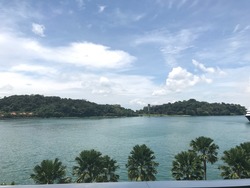 Corals At Keppel Bay (D4), Condominium #165049672